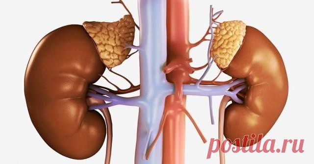 У вас ломкие ногти и плохо спите? Виноваты надпочечники! 
Старинный рецепт быстро решит эту проблему... 
А со временем, вы начнете терять лишний вес!