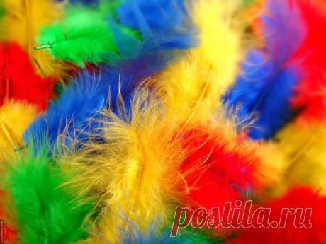 радуга: 34 тыс изображений найдено в Яндекс.Картинках