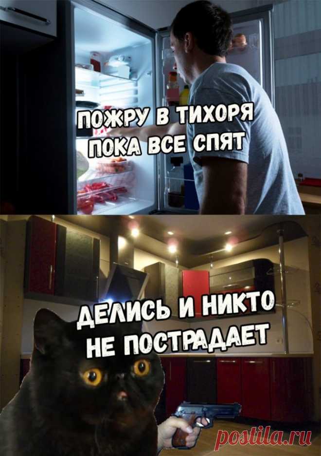 Свежие мемы и юмор в картинках . Чёрт побери