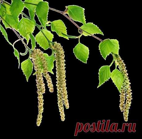 Плейкаст «: РУСЬ :»