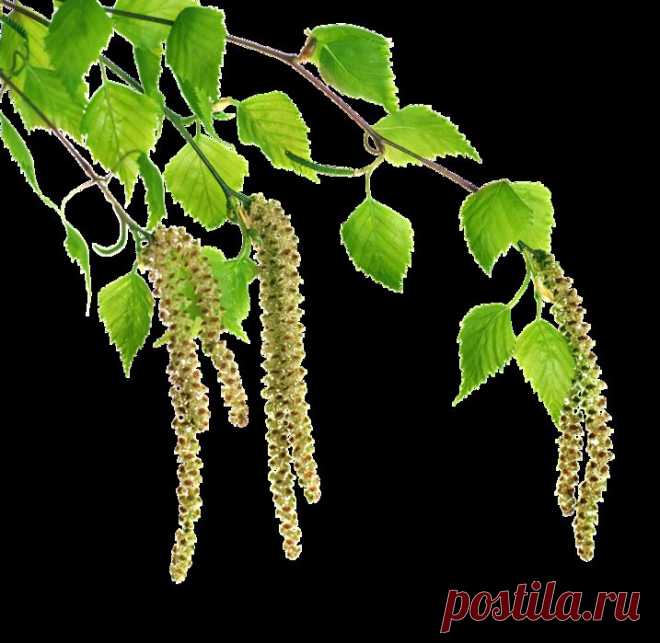 Плейкаст «: РУСЬ :»