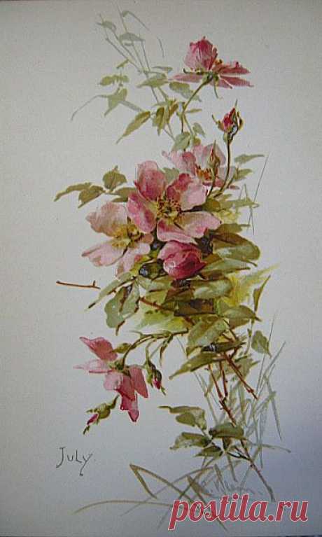(300) c1894 Catherine Klein | Paper Art & Aquarelle