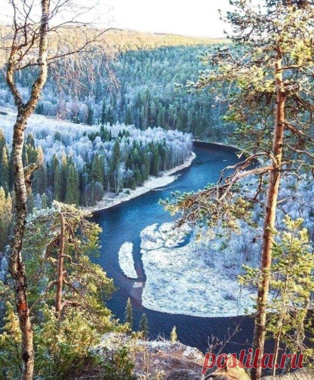 Первые заморозки