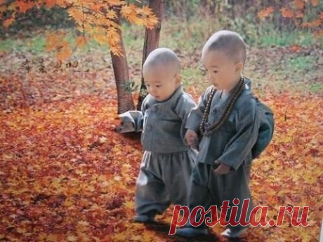 Воспитываем ребенка