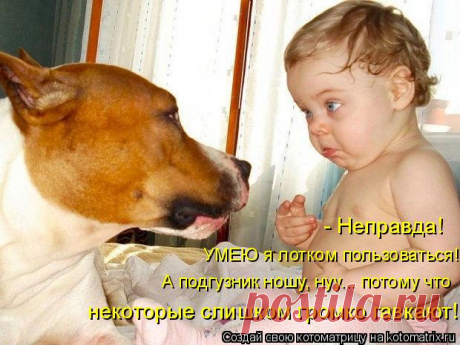 Котоматрица: Главная