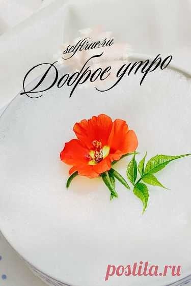 Оформление сторис. Идеи stories Good morning Фон для текста |Дизайн сторис. Красивый визуал. Эстетика сторис. Красивый Stories фон Background. Оформление сторис доброе утро | Instagram Story Good morning | Идеи и фоны для сторис Инстаграм. Оригинальные обои для сторис и оформления Инстаграм. Оформление сториз Instagram доброе утро. Оригинальные фоны для текстов Инстаграм. #инстаграм_идеи #доброе_утро #фоны_сторис #сторис #инстаграм_идеи #сторис_инстаграм #оформление_сторис