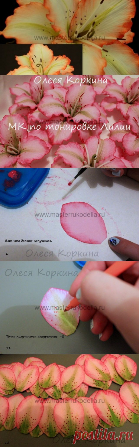 Тонирование цветка. МК Олеси Коркиной.
