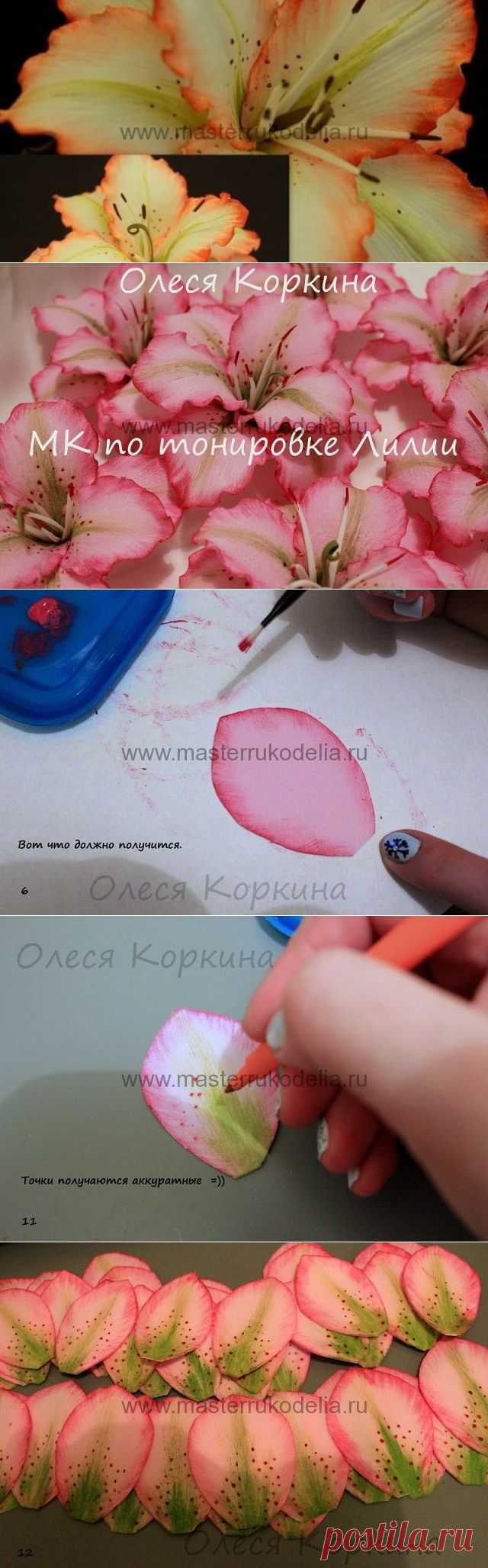 Тонирование цветка. МК Олеси Коркиной.