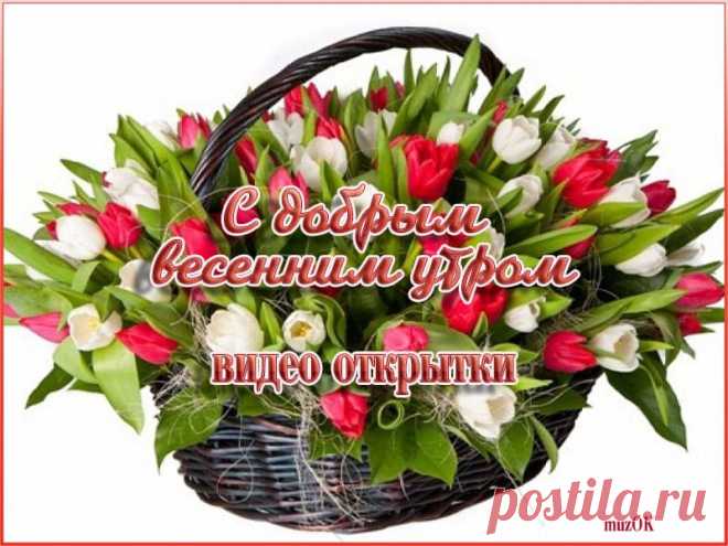 Видео открытки с добрым весенним утром. Скачать * МУЗыкальный подарОК Скачать бесплатно оригинальные, яркие и красивые видео открытки с добрым весенним утром. Счастливых моментов в новом весеннем дне