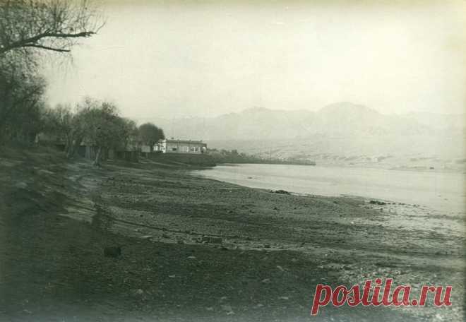 Яндекс.Фотки