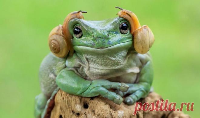 Двадцать шестой лунный день. Лунный календарь в Доме Солнца