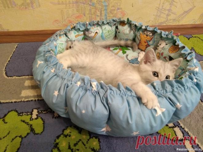 Мягкий лежачок под кошачий бочок | Домашние мелочи своми руками