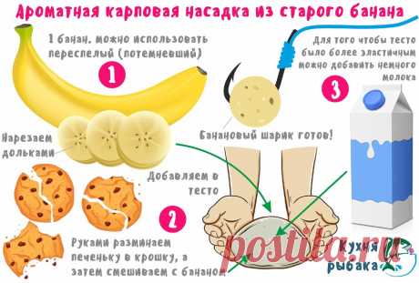 Бюджетная карповая насадка из одного банана | Кухня рыбака | Яндекс Дзен