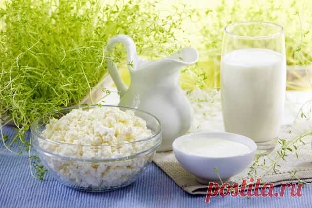 Чем Полезны Кисломолочные Продукты