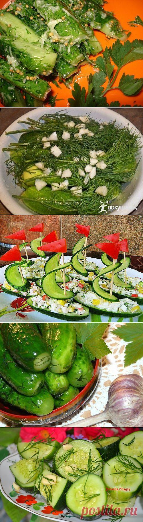 РЕЦЕПТЫ "НА БИС". 9 суперских рецептов огурцов. .