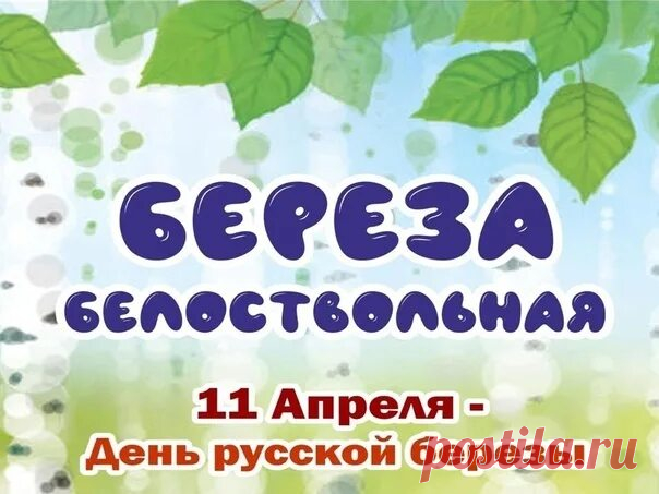 Гроза ли над ней пронесется,
Прильнет ли болотная мгла, —
Дождинки стряхнув, улыбнется
Береза — и вновь весела.