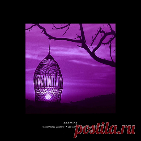 Seeming - Tomorrow Place (Assemblage 23 Remix) (2025) 320kbps / FLAC