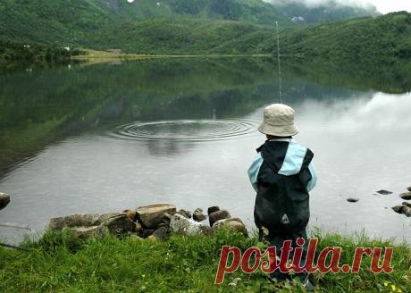 Увлекательная ловля весенней уклейки на "бомбарду" | Рыбалка для людей | Яндекс Дзен