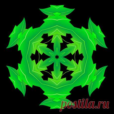 Растительная мандала - колесо Флорв. 
Floral mandala  Free Stock Photo HD - Public Domain Pictures