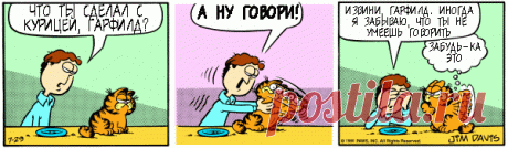 1980-07-29