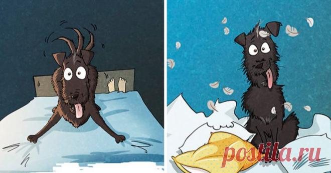 20+ Illustrations Perfectly Describe What Happens In Your Life After Adopting A Dog From A Shelter