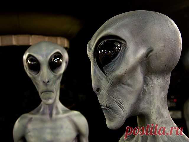 МЕЖДУ СВЕТОМ И ТЬМОЙ… | fedorbelyaev58