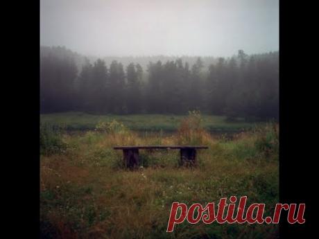 Шум в голове. Чего сидим? Чего ждём ?