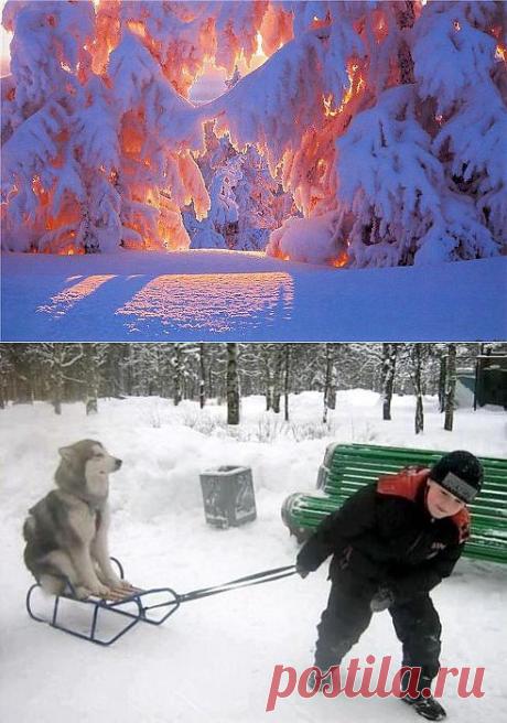 (7) Одноклассники