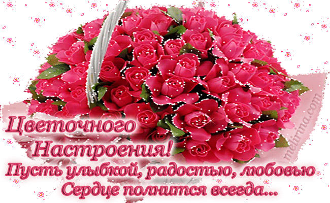 Большая Корзина Розовых Роз! Пусть улыбкой, радостью, любовью Сердце полнится всегда... - Музыкальные Открытки