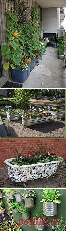 container gardening в Pinterest