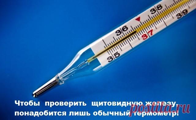 Чтобы проверить щитовидную железу, понадобится лишь обычный термометр!


Американский ученый и врач Брода Отто Барнс в ходе своих исследований в области эндокринологии обнаружил, что температура тела человека — превосходный показатель работы щитовидной железы.


Как проверить щитовидную железуИтак, чтобы определить , достаточно иметь лишь обычный термометр.


С вечера приготовь термометр, показатель температуры на нём должен быть не выше 35 градусов.


Сразу после пробужде...