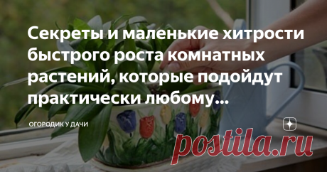 Секреты и маленькие хитрости быстрого роста комнатных растений, которые подойдут практически любому комнатному цветку Любому цветоводу хочется, чтобы растения в доме были здоровыми и красивыми. Но приобретенные, в магазине или выращиваемые из маленького ростка, растут медленно, плохо переносят акклиматизацию, не хотят расти.
Фото из открытого источника, без рекламных целей. В качестве примера
И это далеко не весь список «не», связанный с ростом комнатных цветов. Как убыстр...