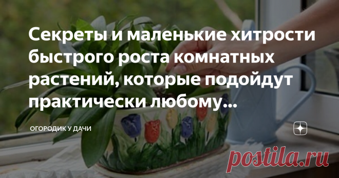 Секреты и маленькие хитрости быстрого роста комнатных растений, которые подойдут практически любому комнатному цветку Любому цветоводу хочется, чтобы растения в доме были здоровыми и красивыми. Но приобретенные, в магазине или выращиваемые из маленького ростка, растут медленно, плохо переносят акклиматизацию, не хотят расти.
Фото из открытого источника, без рекламных целей. В качестве примера
И это далеко не весь список «не», связанный с ростом комнатных цветов. Как убыстр...