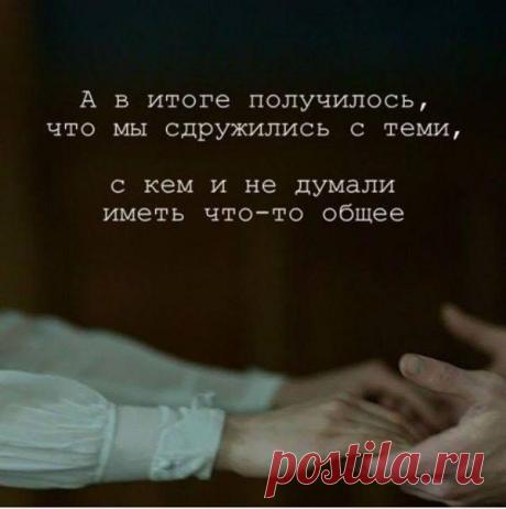 Без комментария