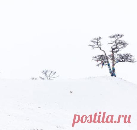 VlasovEgor — National Geographic Россия