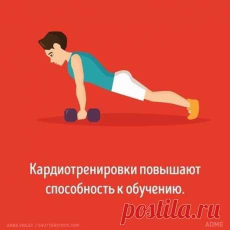 Мужчинам на заметку