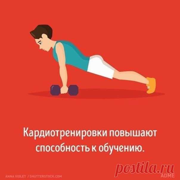 Мужчинам на заметку