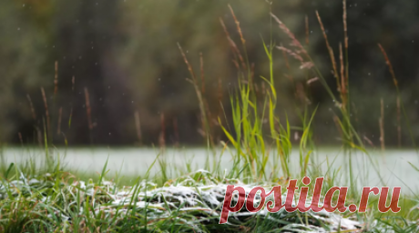 Синоптик Вильфанд спрогнозировал ночные заморозки на Урале на этой неделе. Научный руководитель Гидрометцентра России, заслуженный метеоролог России Роман Вильфанд рассказал, что в регионах Урала до конца текущей недели ожидаются ночные заморозки. Такое явление в августе бывает раз в 10—13 лет. Читать далее