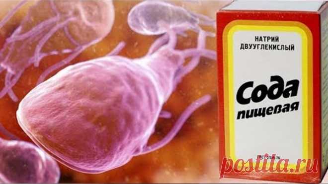ЛЯМБЛИОЗ Лечение в Домашних Условиях | ✅3 Простых Способа Избавиться от ЛЯМБЛИЙ
