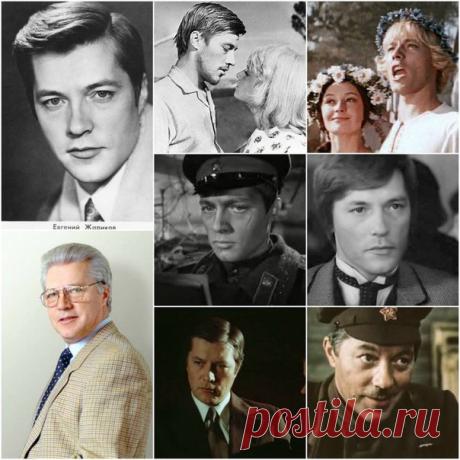 Евгений Жариков, 26 февраля, 1941 • 18 января 2012