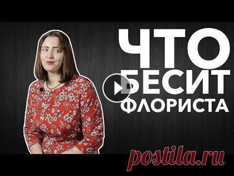 Что бесит флориста | Анна Валуа Чем отличается букет для жены от букета для любовницы? Почему метровые розы так быстро вянут? Как распознать, что вам парят «уставшие» цветы? Спойлер:...