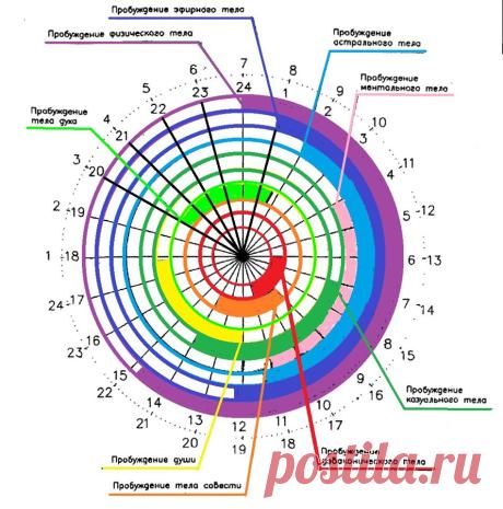 ТАЙНЫ ЧУДЕСНОГО СНА по ЗОЛОТОМУ СЕЧЕНИЮ.