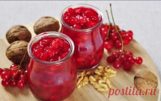 ЦЕЛЕБНЫЕ свойства КАЛИНЫ: простые рецепты