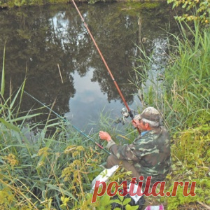 На карасиных карьерах - МирТесен