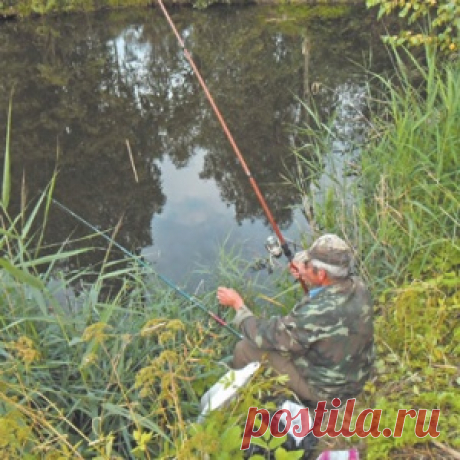 На карасиных карьерах - МирТесен