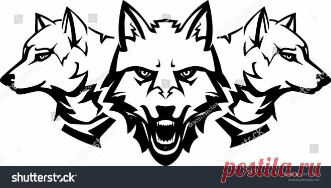 Animals | Studio77 FX vector: коллекция стоковых фотографий и изображений | Shutterstock