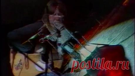 Янка - Гори, гори ясно