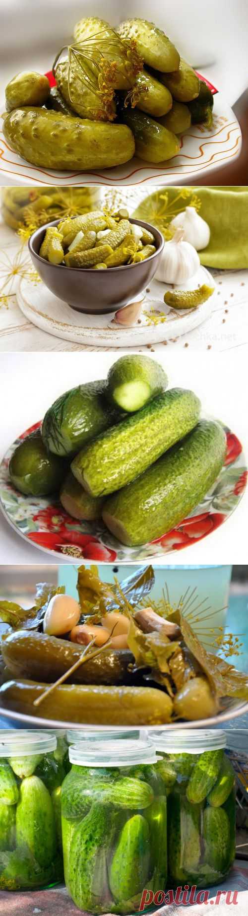 Засолка огурцов