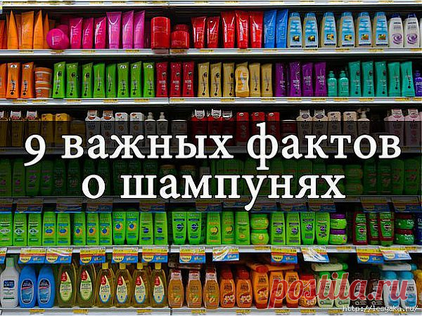9 важных фактов о шампунях.