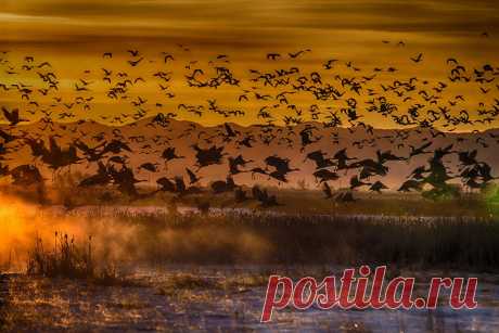 500px / Sand Hill Краны Джо Рэндалл